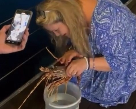 Σαρδηνία: Τουρίστρια πλήρωσε 200 ευρώ για αστακό σε εστιατόριο και μετά τον… απελευθέρωσε – Δείτε το ΒΙΝΤΕΟ