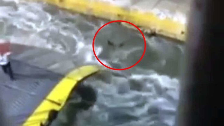 Θάνατος 36χρονου στο λιμάνι του Πειραιά