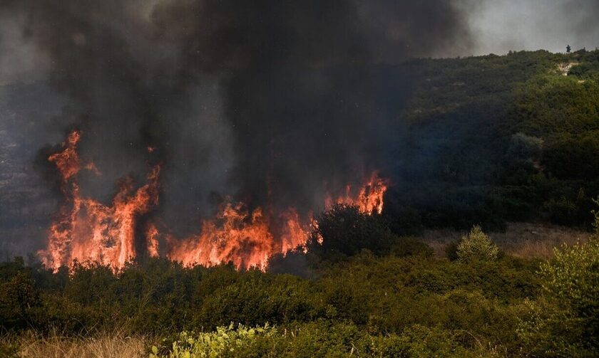 Ασπρόπυργος: «Έβαλα τη φωτιά γιατί οι γονείς μου ήθελαν να συνεχίσω τη Σχολή» – Τα πρώτα λόγια του εμπρηστή στους αστυνομικούς