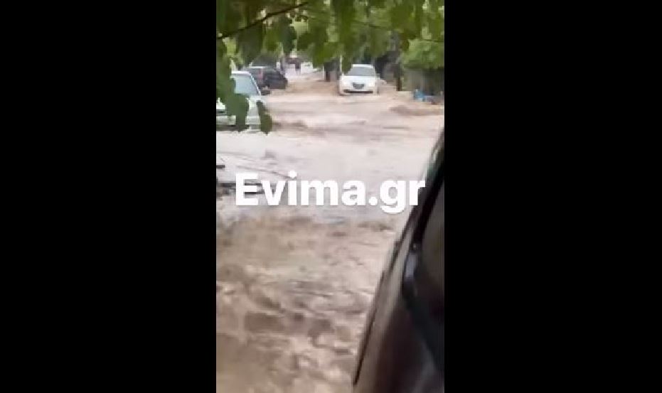 Κακοκαιρία Daniel – Εύβοια: Πλημμύρισαν οι Ροβιές – ΒΙΝΤΕΟ