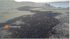 Φωτιά στον Έβρο: Τα αποκαΐδια έφτασαν στην Λήμνο