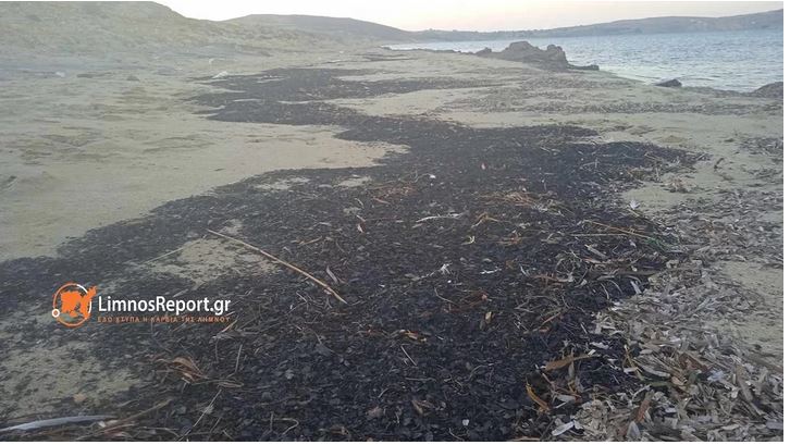 Φωτιά στον Έβρο: Τα αποκαΐδια έφτασαν στην Λήμνο