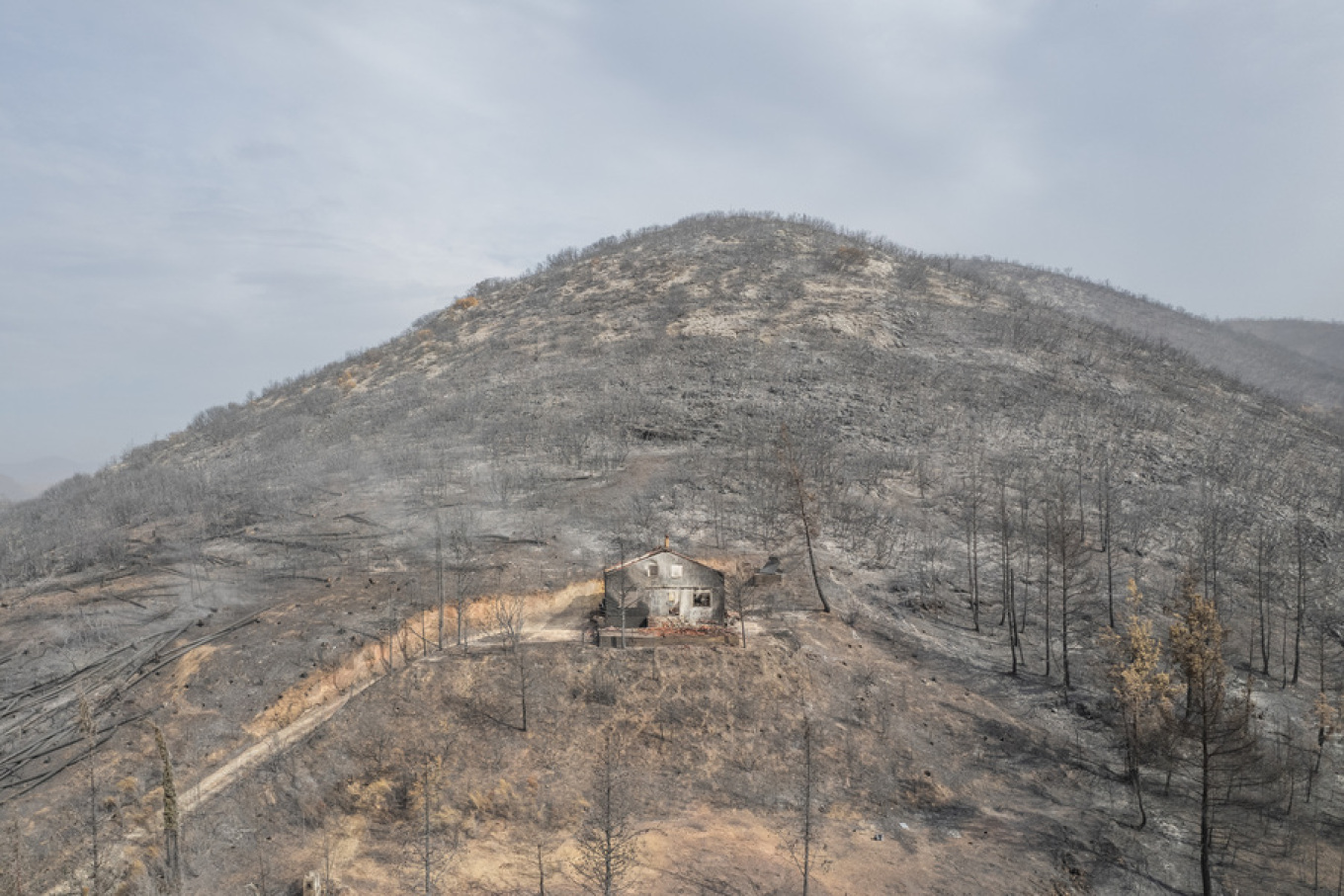 Φωτιά Έβρος Άβαντας