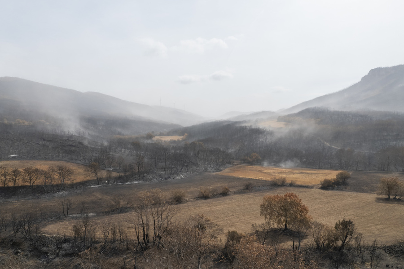 Φωτιά Έβρος Άβαντας