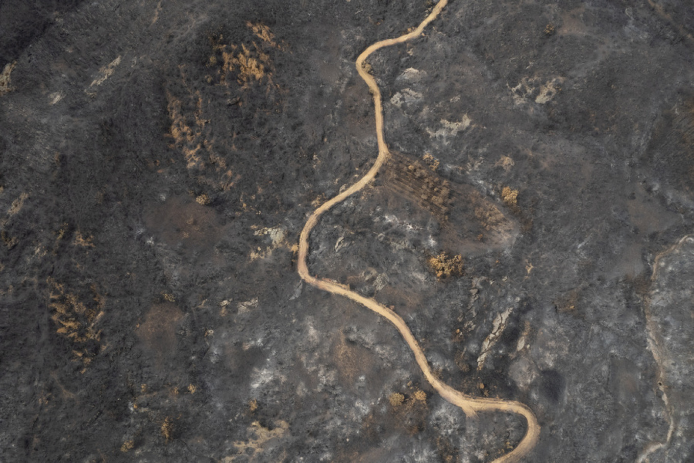 Φωτιά Έβρος Κίρκη