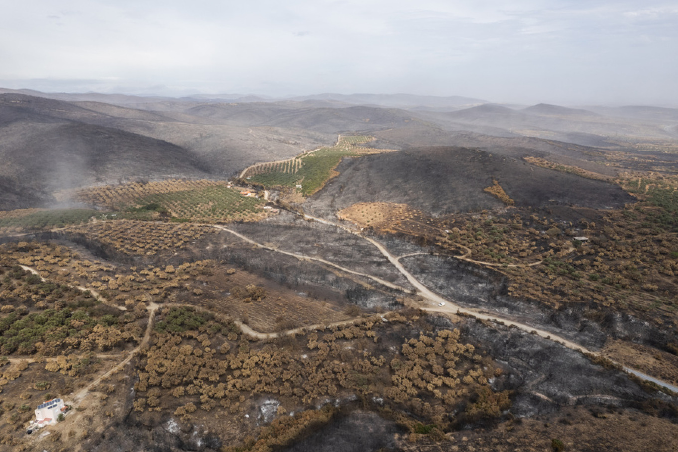 Φωτιά Έβρος Μάκρη