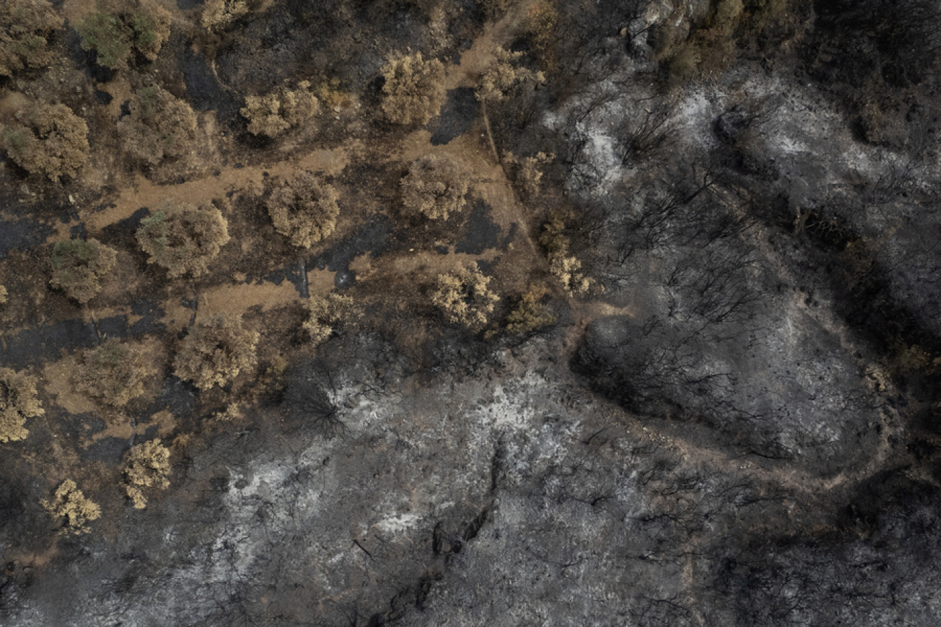 Φωτιά Έβρος Μάκρη