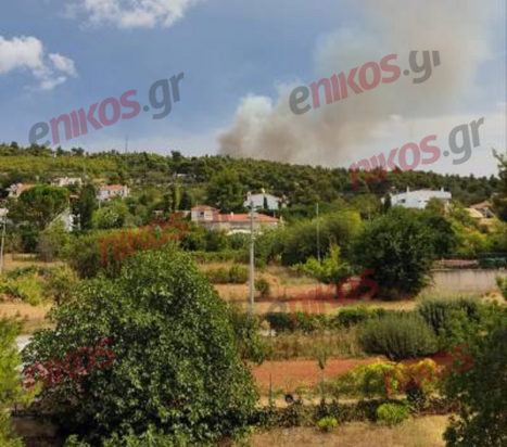 φωτιά Σταμάτα