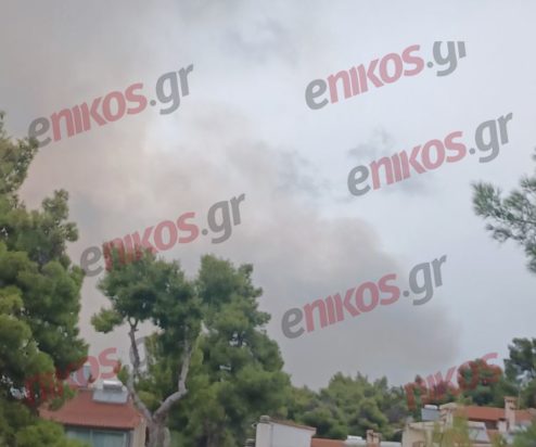 φωτιά Σταμάτα