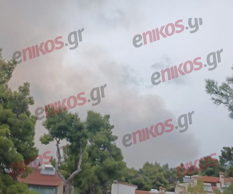 φωτιά Σταμάτα