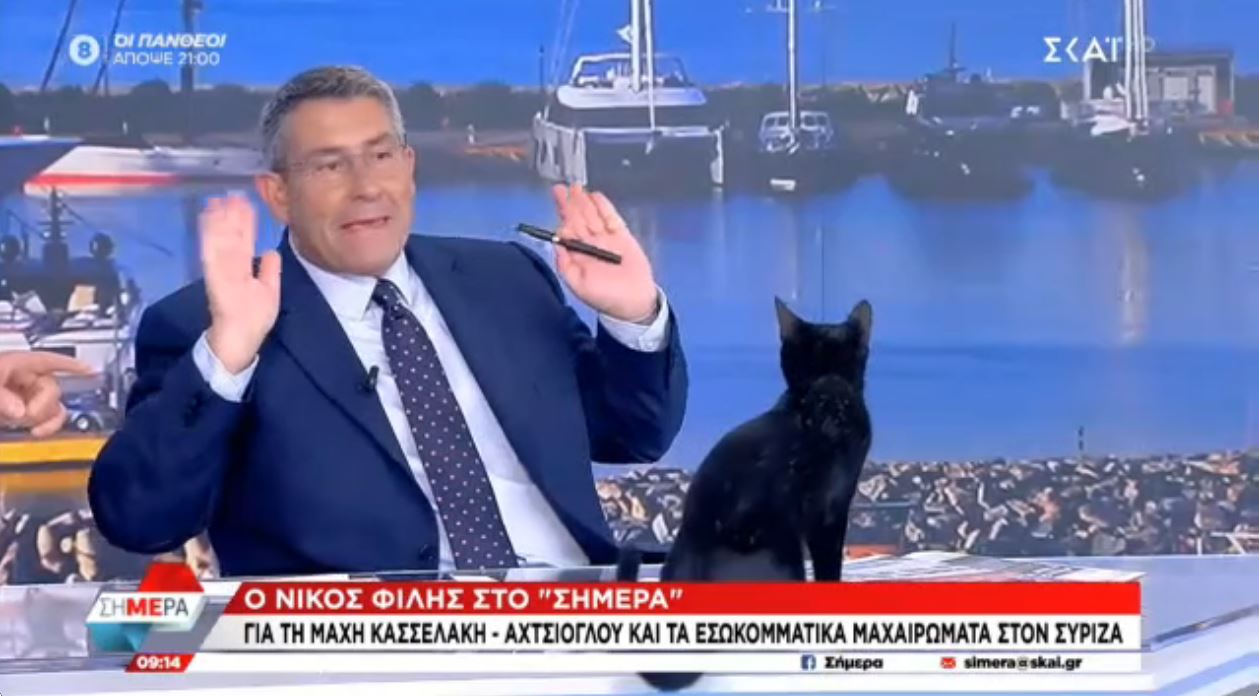 Μαύρη γάτα «εισέβαλε» στο στούντιο του ΣΚΑΪ την ώρα της εκπομπής – Η αντίδραση του Άκη Παυλόπουλου – Δείτε το ΒΙΝΤΕΟ