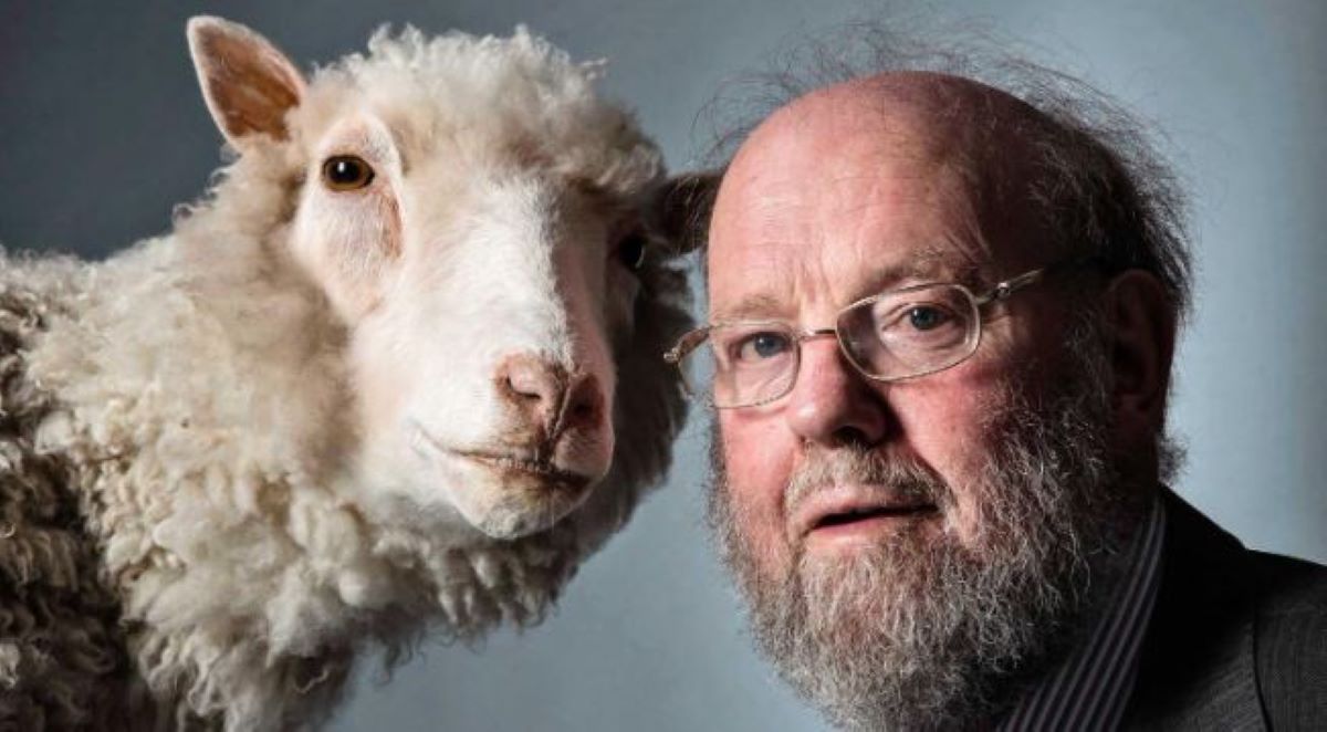 Ίαν Γουίλμουτ