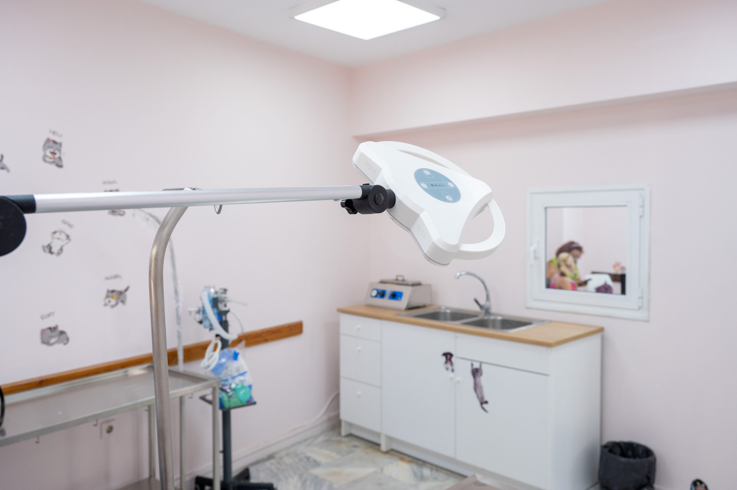 Δημοτικό κτηνιατρείο