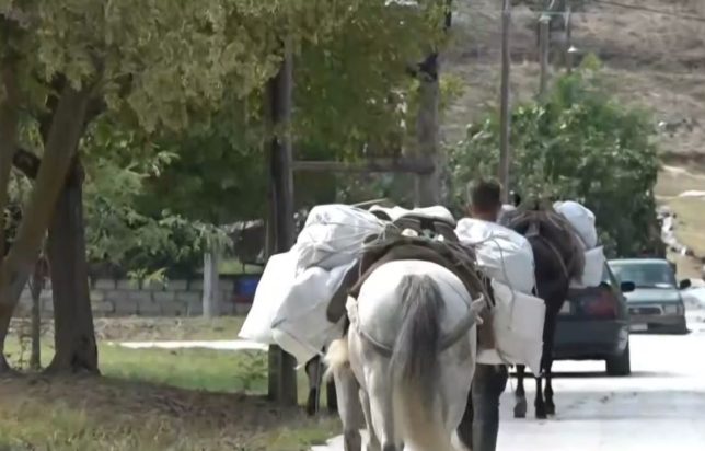 Κακοκαιρία Daniel άλογα προμήθειες