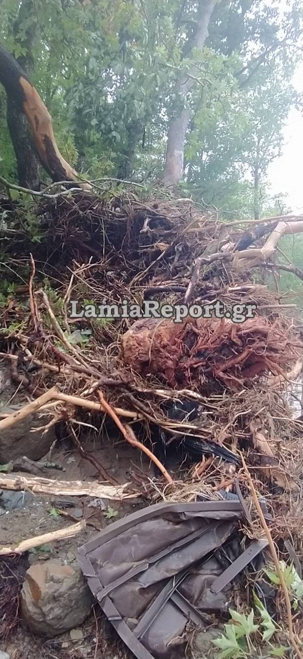 Κακοκαιρία Daniel Κτηνοτρόφος Δομοκός