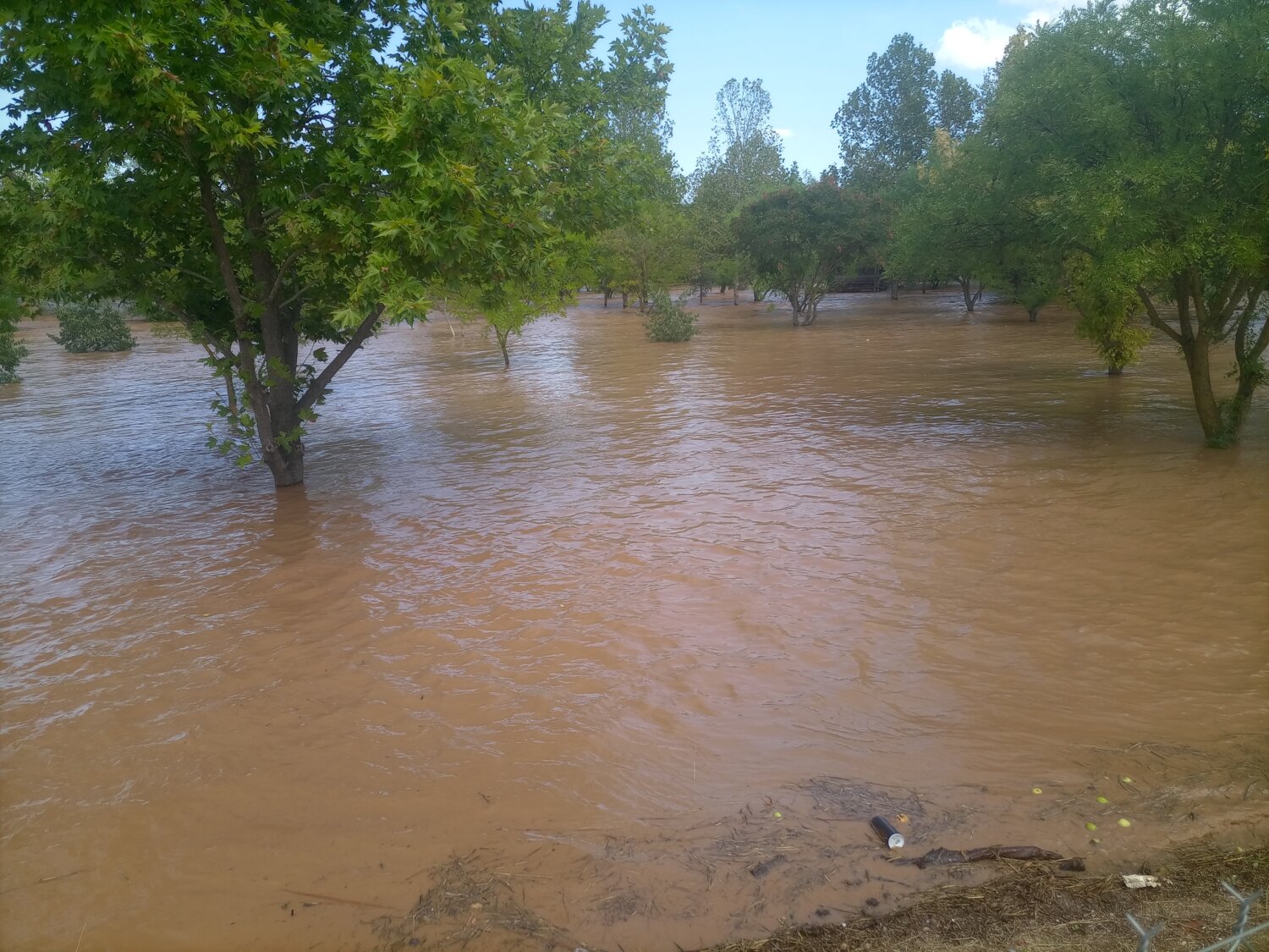 Κακοκαιρία Daniel Λάρισα Αισθητικό Άλσος