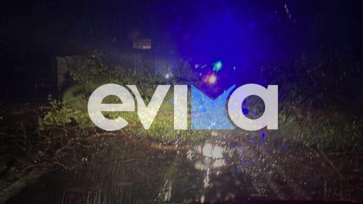 Κακοκαιρία Daniel: Ολική καταστροφή σε Βόρεια και Νότια Εύβοια – Έπεσαν δέντρα, αυτοκίνητα «βούλιαξαν» στις λάσπες