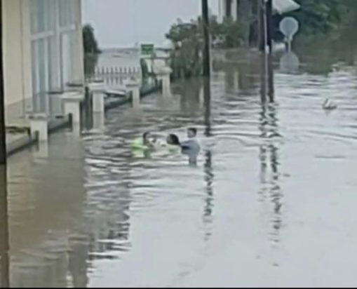 Παλαμάς Καρδίτσα