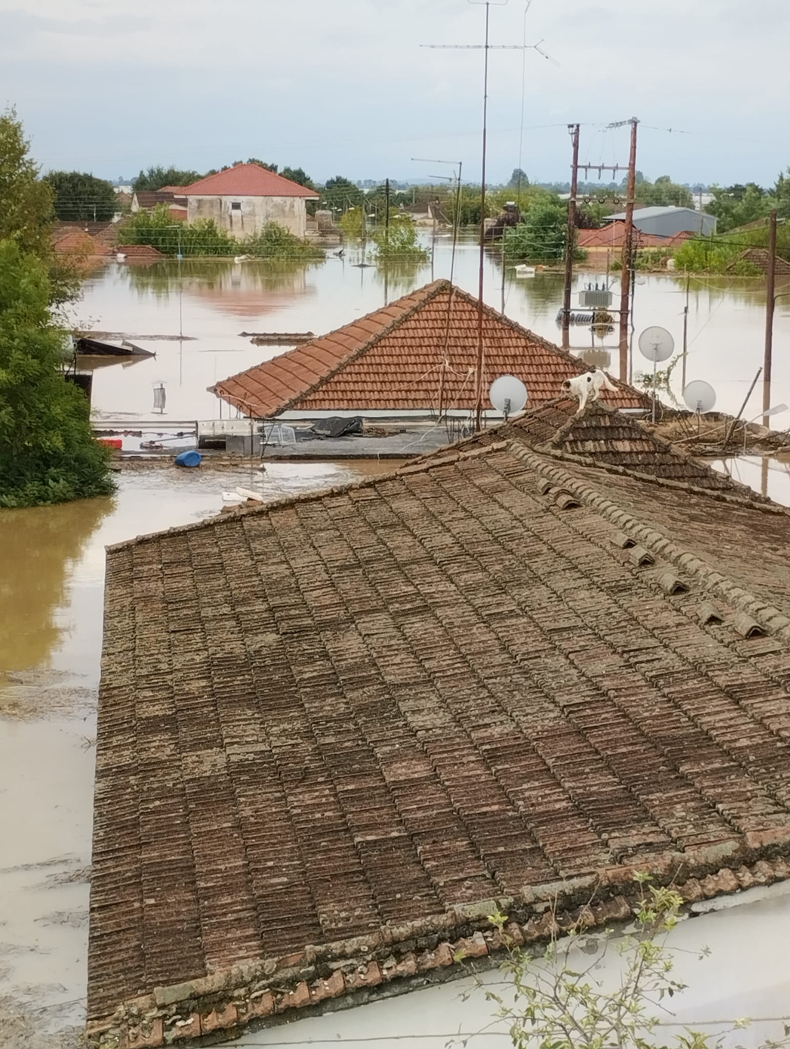 Καρδίτσα κακοκαιρία Daniel