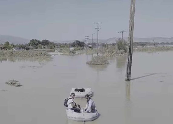 Καρδίτσα Μεταμόρφωση