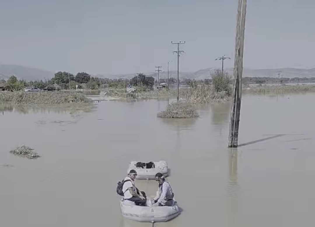 Καρδίτσα Μεταμόρφωση