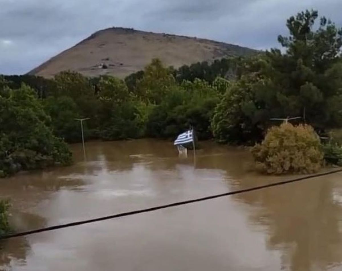 Καρδίτσα σημαία