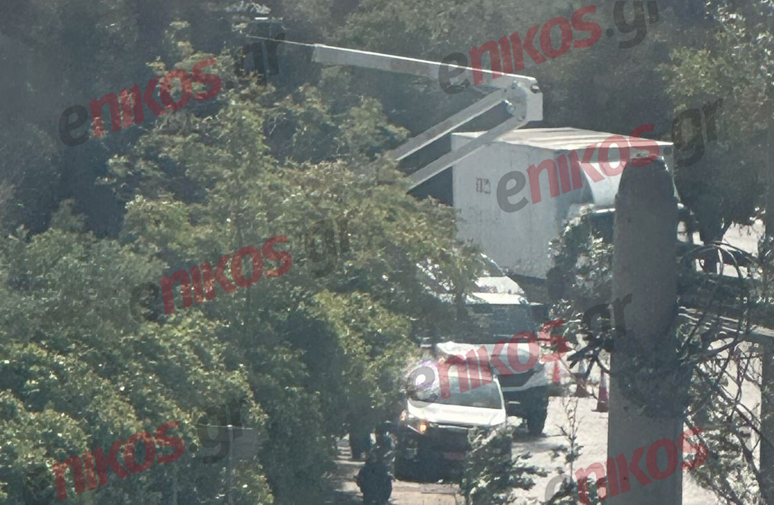 Κηφισίας πτώση δέντρου