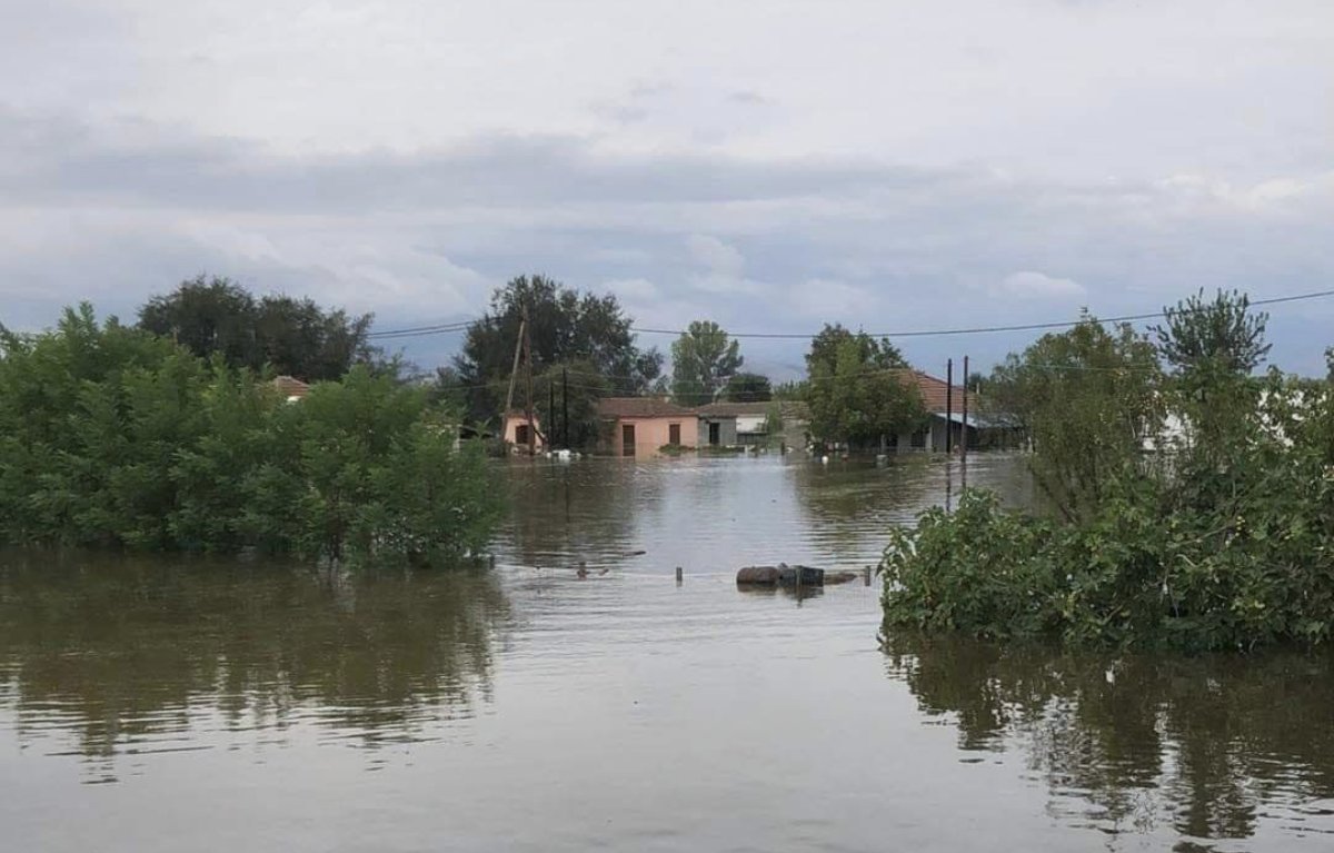 Κοσκινάς Καρδίτσα