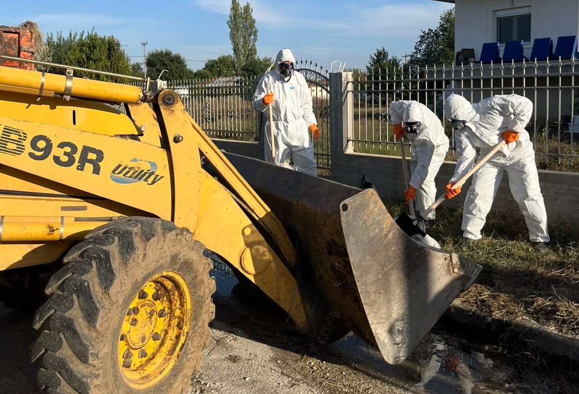 Μεγάλη επιχείρηση απομάκρυνσης των νεκρών ζώων από τον Στρατό – ΒΙΝΤΕΟ