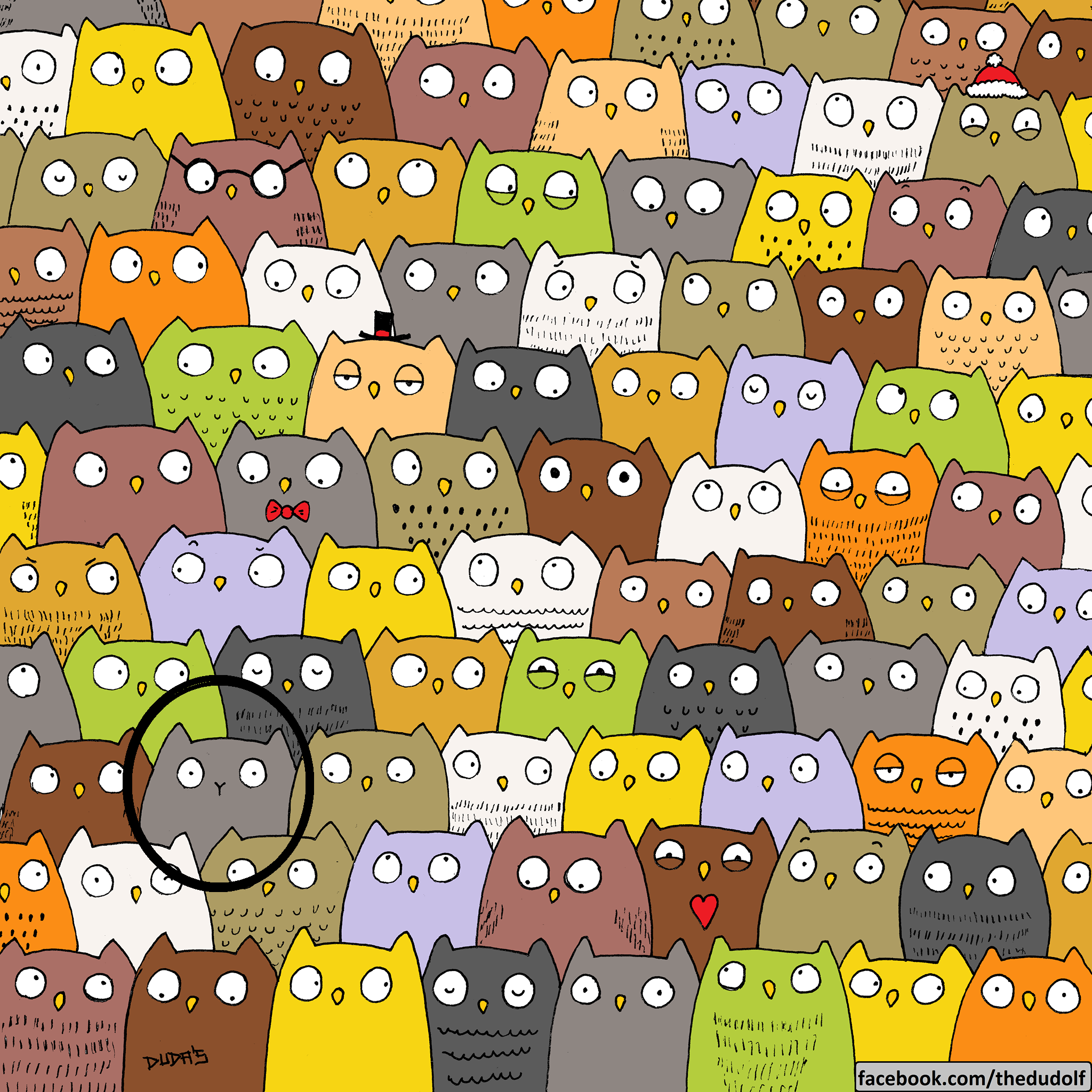 Οπτική Ψευδαίσθηση Γάτα Λύση