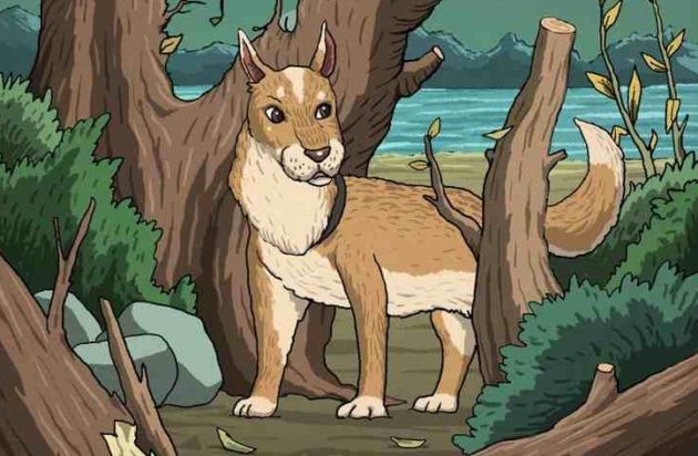 Οπτική ψευδαίσθηση κούγκαρ