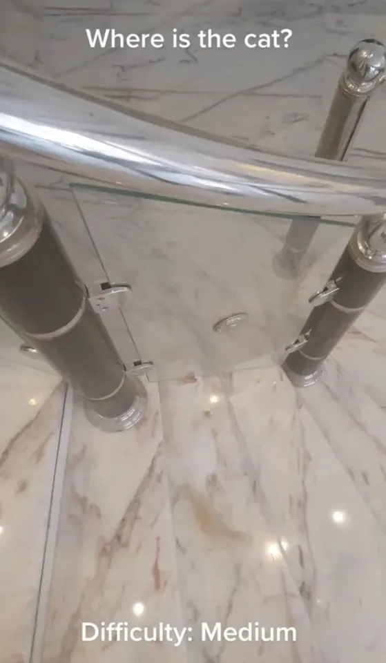 Οπτική ψευδαίσθηση γάτα