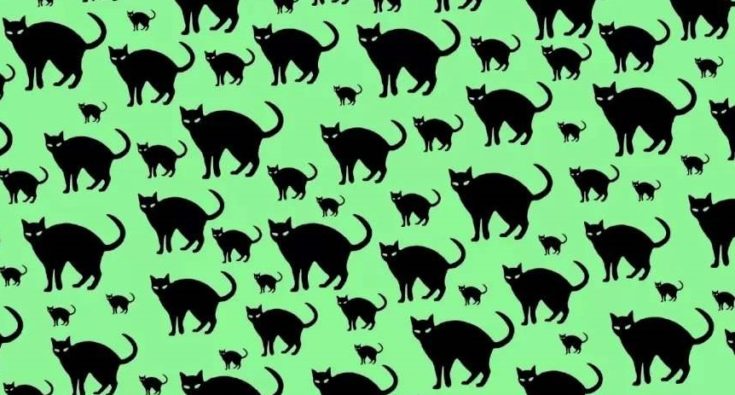 Οπτική ψευδαίσθηση Ποντίκι