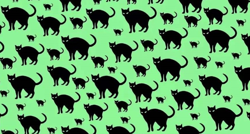 Οπτική ψευδαίσθηση Ποντίκι