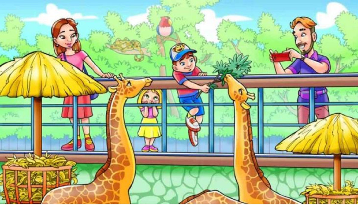 οπτική ψευδαίσθηση