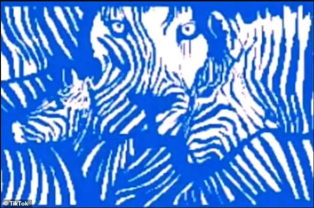 οπτική ψευδαίσθηση