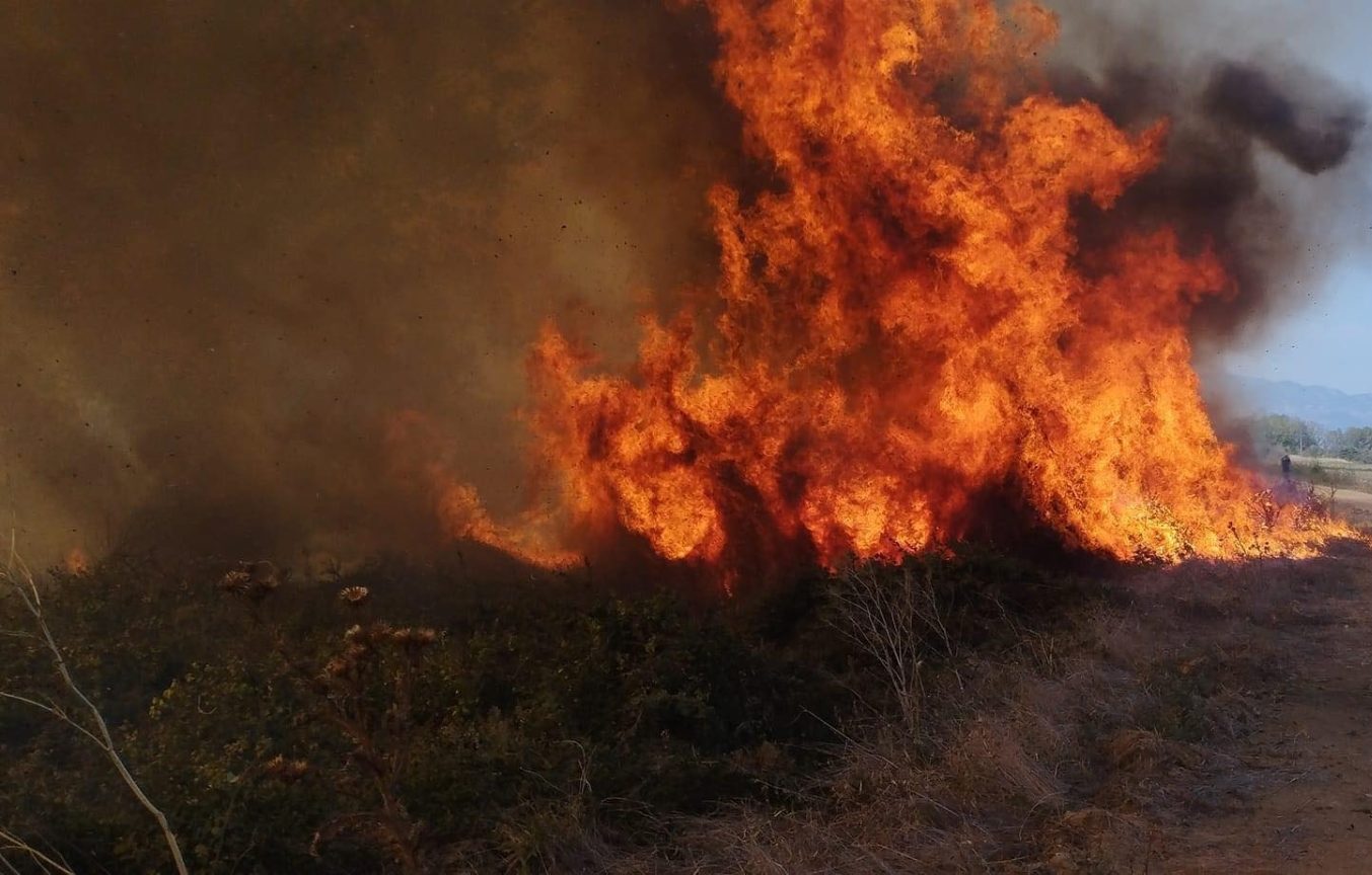 Ροδόπη: Υπό έλεγχο οι φωτιές σε Παγούρια και Δρανιά