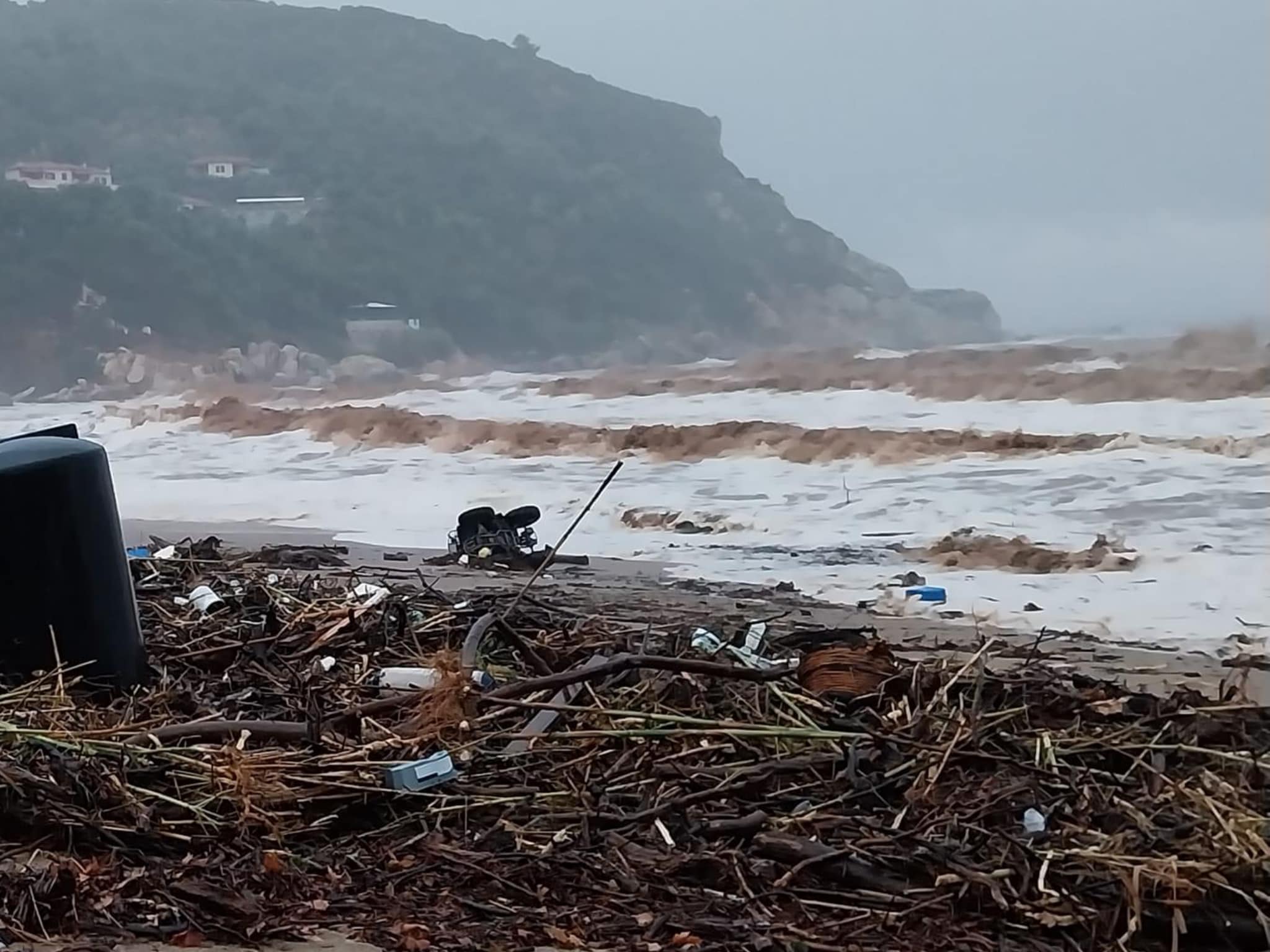Πάλτση Μαγνησία