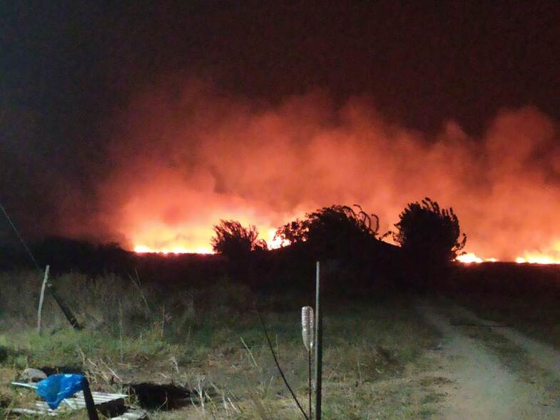 Δυτική Αχαΐα: Φωτιά στην Στροφυλιά – Καίγεται ο υδροβιότοπος της Λάμιας – ΦΩΤΟ