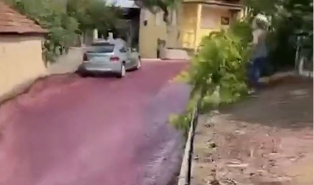 Πορτογαλία: Ορμητικό ποτάμι από κόκκινο κρασί κατακλύζει τους δρόμους κωμόπολης – ΒΙΝΤΕΟ