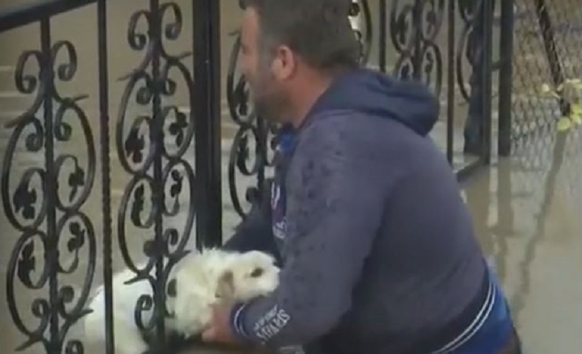 Κακοκαιρία Elias: Σκυλάκι σφήνωσε στα κάγκελα πόρτας στο Σωτήριο Λάρισας – Το απεγκλώβισε ο πρόεδρος του χωριού