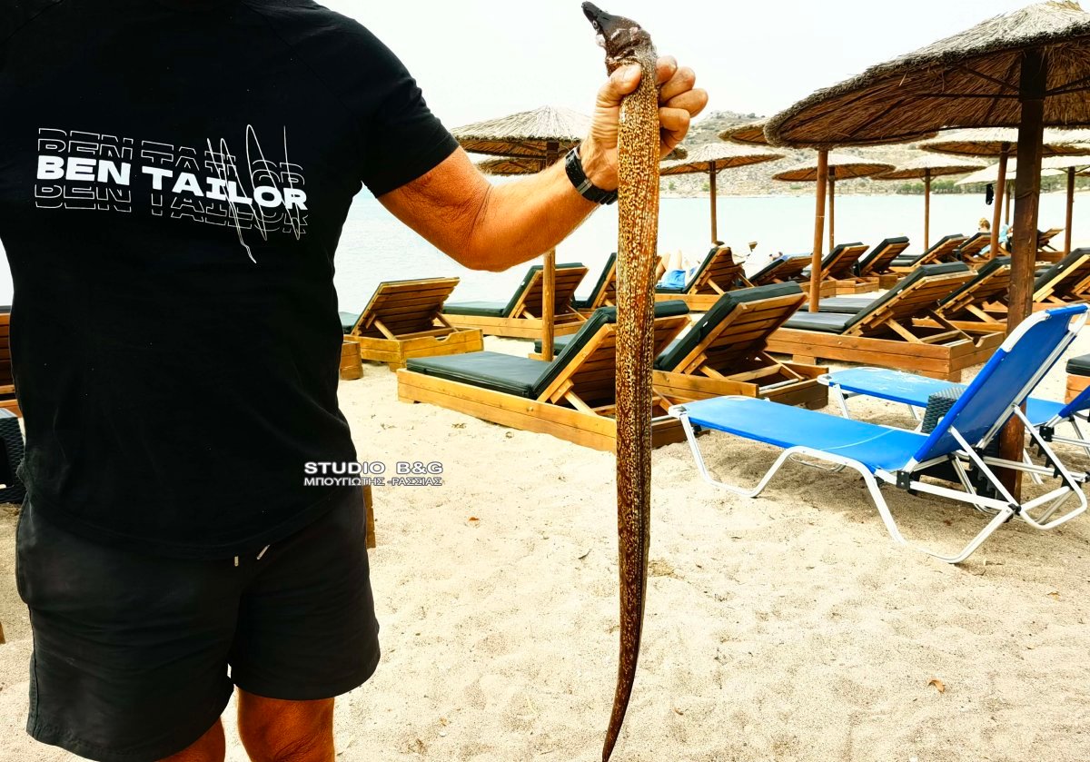 Ναύπλιο: Αυτό είναι το επικίνδυνο ψάρι που έπιασε ερασιτέχνης ψαράς – ΦΩΤΟ