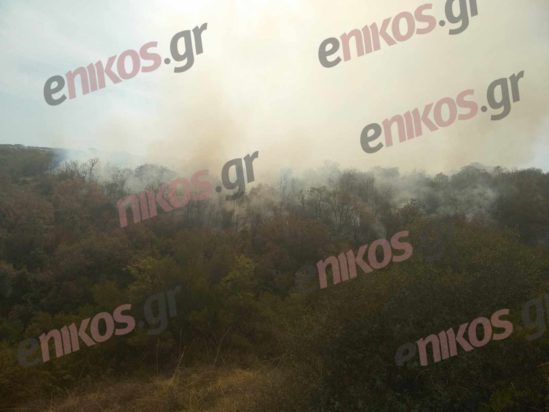 Έβρος Σουφλί φωτιά