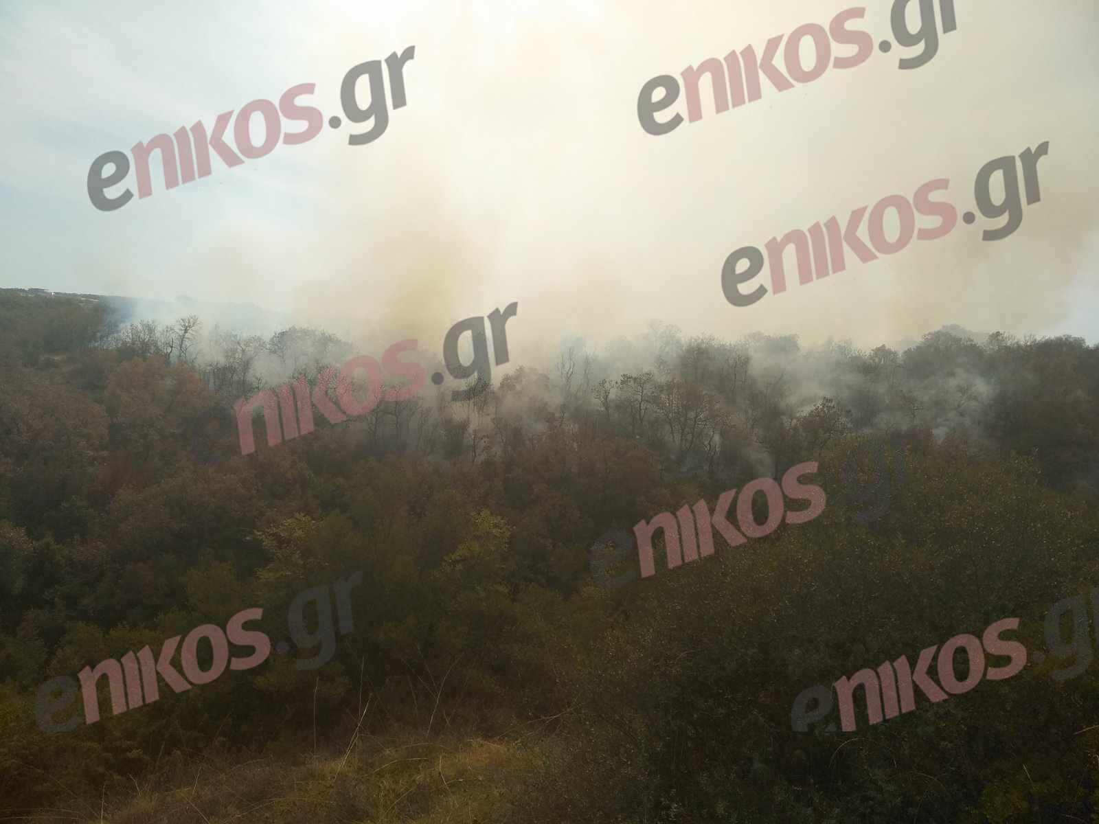 Έβρος Σουφλί φωτιά