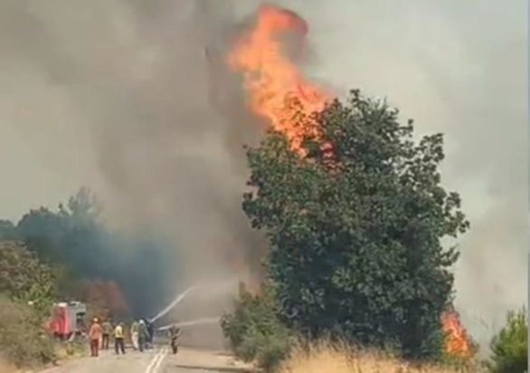 Φωτιά στον Έβρο, κοντά στο Σουφλί