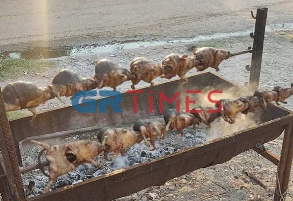 Θεσσαλονίκη: Δικογραφία σε βάρος 41χρονου που… σούβλιζε σκαντζόχοιρους και ανέβαζε τις εικόνες στο Facebook – ΦΩΤΟ