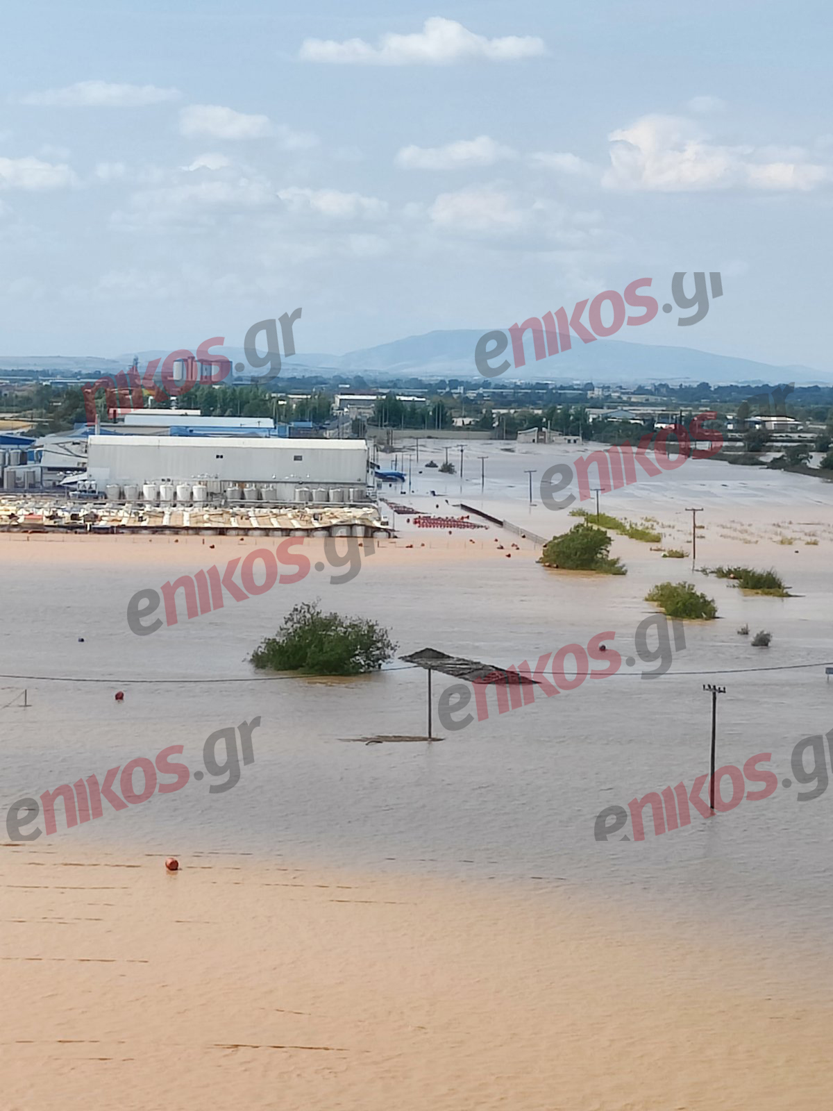 Συκούριο Λάρισας