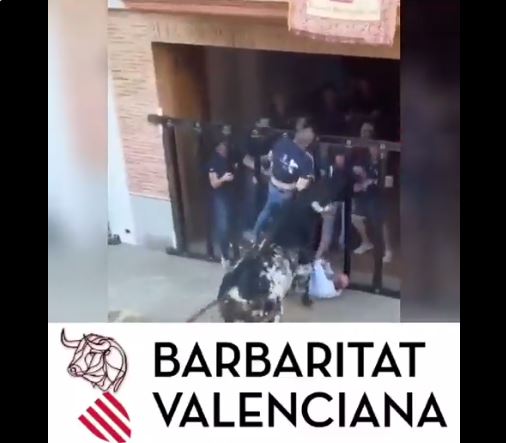 Ισπανία: Νεκρός άνδρας, μετά τον σοβαρό τραυματισμό του από ταύρο