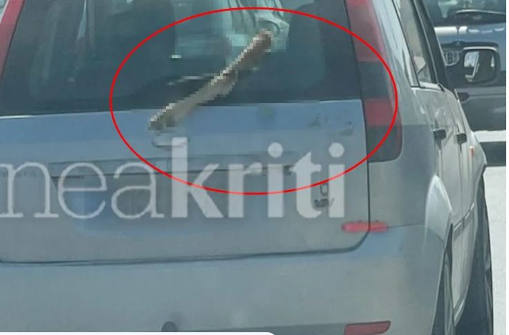Ηράκλειο: Κυκλοφορούσε με πόδι κατσίκας στο αυτοκίνητό του