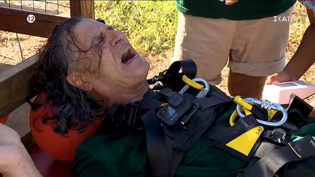 I'm a Celebrity... Get Me Out of Here